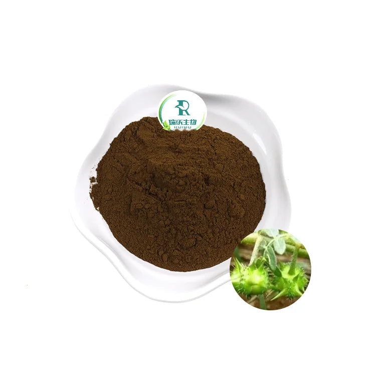Gıda Sınıfı Tribulus Terrestris Özü %90 Toplu Toz Meyveden UV Testli Ot